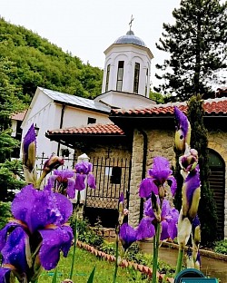 Манастирска црква Свете Тројице у Пљевљима са нагласком на једноставност и духовну симболику  Спољашњи зидови Манастира Свете Тројице у Пљевљима у складу са природним окружењем  Манастир Свете Тројице као духовна целина смештена изван градске вреве  Манастирски комплекс у Пљевљима окружен дрвећем и отвореним просторима  Спољашњи поглед на Манастир Свете Тројице у различитим светлосним условима  Манастир Свете Тројице у Пљевљима као место духовног сабрања и тишине